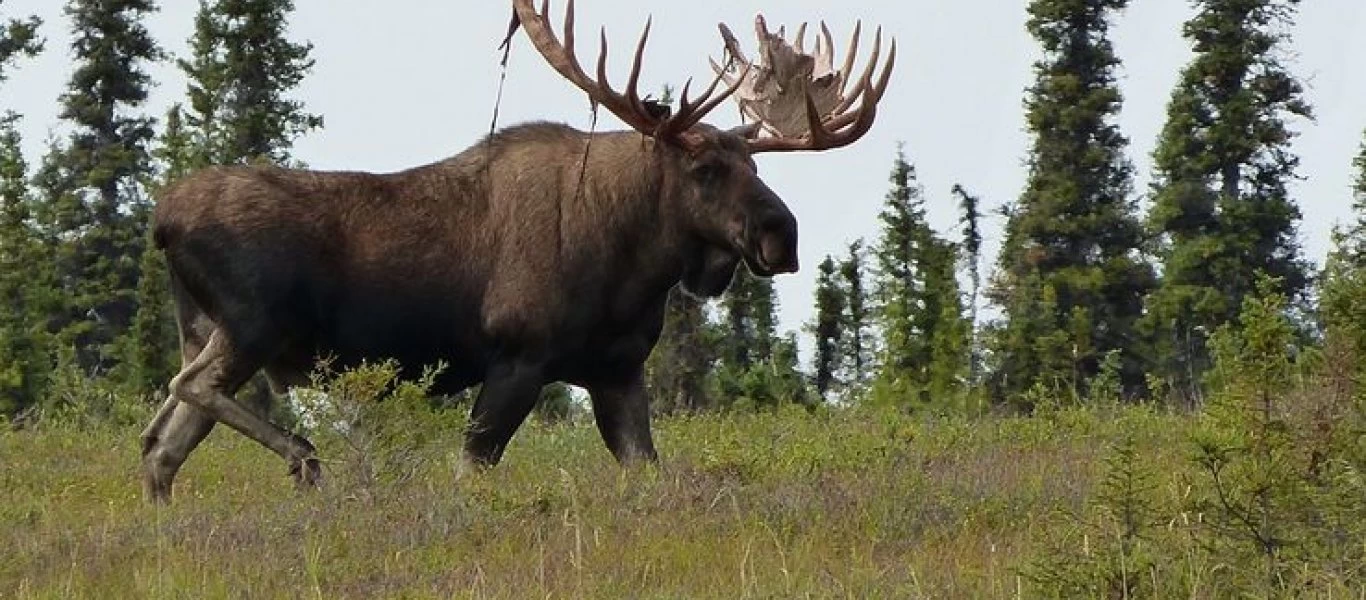 Αυτά είναι τα 6+1 πιο ακριβά αλλά άκρως... αηδιαστικά φαγητά
